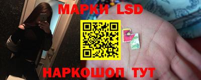стафф Аргун
